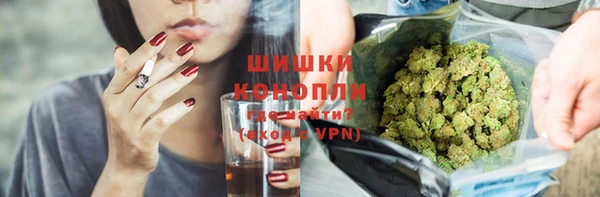 СК Касимов