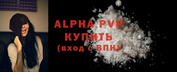mdpv Каменногорск