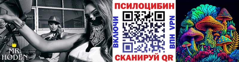hydra рабочий сайт  Любим  Псилоцибиновые грибы Cubensis  где купить наркоту 